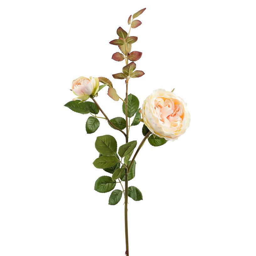 картинка Роза бело-розовая кустовая от магазина DECOR OF TODAYфото 1