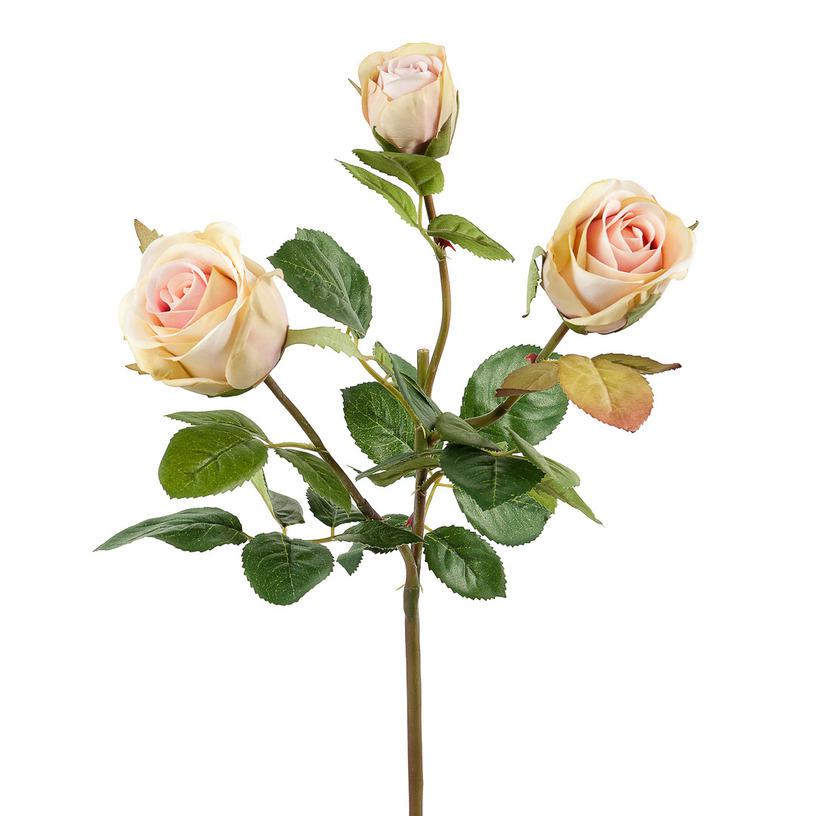 картинка Роза кустовая нежно-розовая от магазина DECOR OF TODAYфото 1