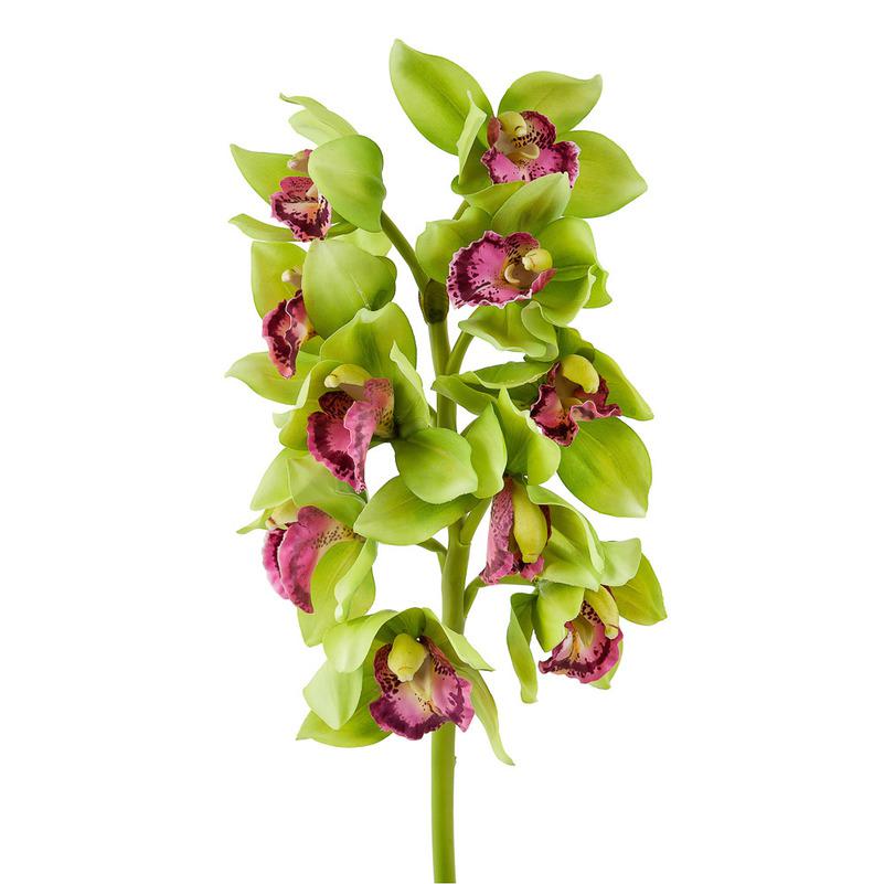 картинка Орхидея Цимбидиум зелёно-розовая от магазина DECOR OF TODAYфото 1