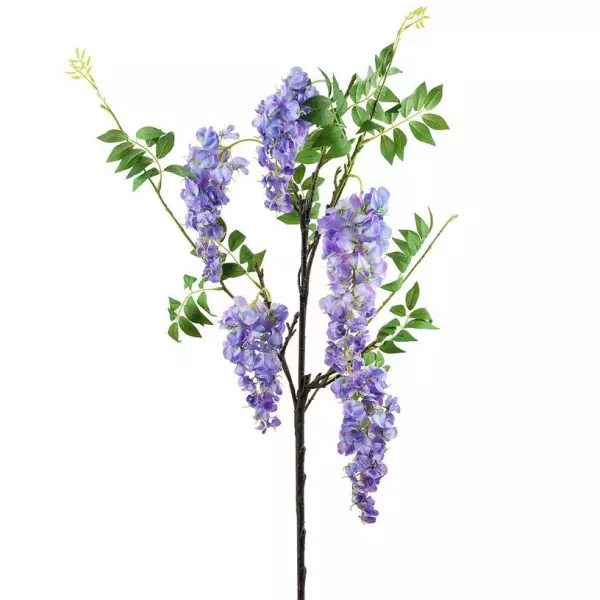 Глициния сиреневая кустовая TS00907
