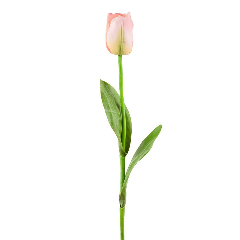 картинка Тюльпан нежно розовый от магазина DECOR OF TODAYфото 1
