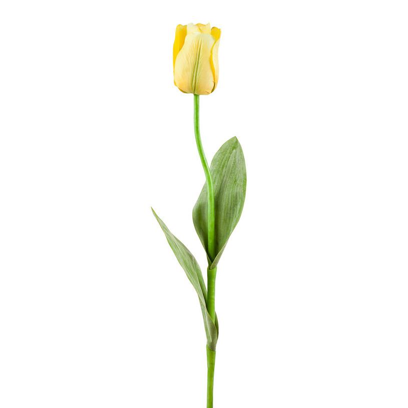 картинка Тюльпан желтый от магазина DECOR OF TODAYфото 1