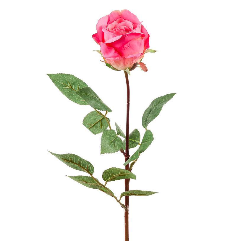 картинка Роза "Джесика" бутон ярко розовая от магазина DECOR OF TODAYфото 1