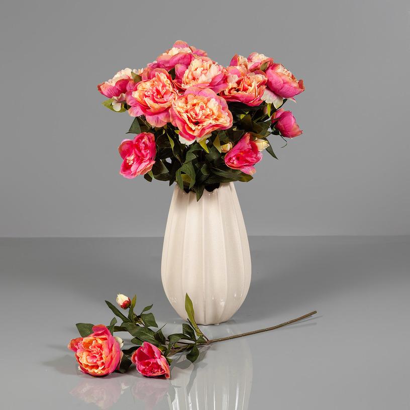 картинка Пион розово-кремовый кустовой от магазина DECOR OF TODAYфото 2