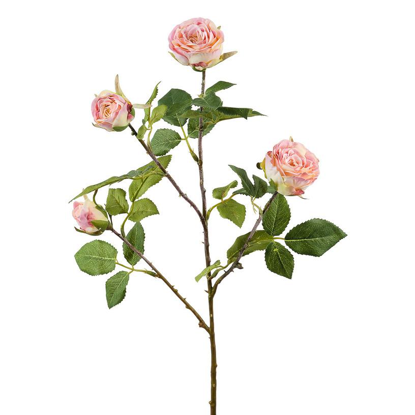 картинка Роза розовая кустовая от магазина DECOR OF TODAYфото 1
