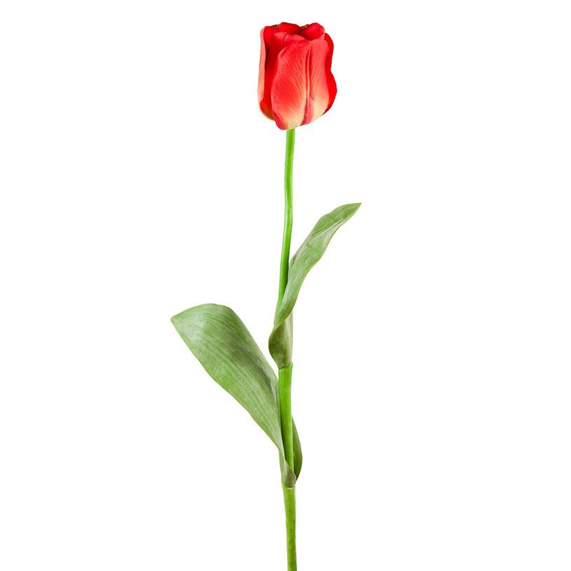 картинка Тюльпан красный от магазина DECOR OF TODAYфото 1