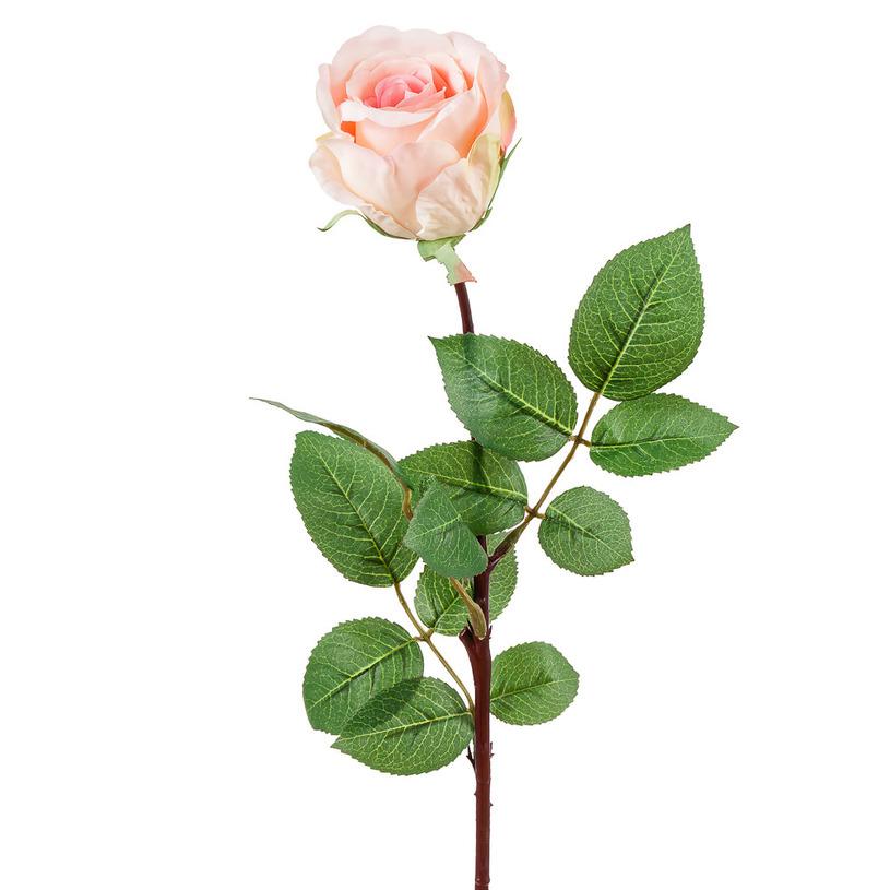 картинка Роза "Джесика" бутон средне розовая от магазина DECOR OF TODAYфото 1