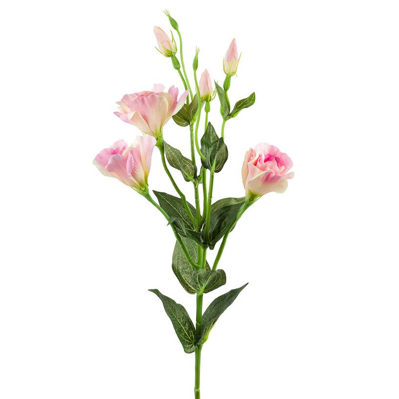 картинка Лизиантус розовый от магазина DECOR OF TODAYфото 1