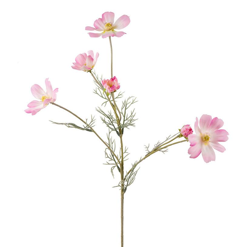 картинка Космея средне розовая от магазина DECOR OF TODAYфото 1