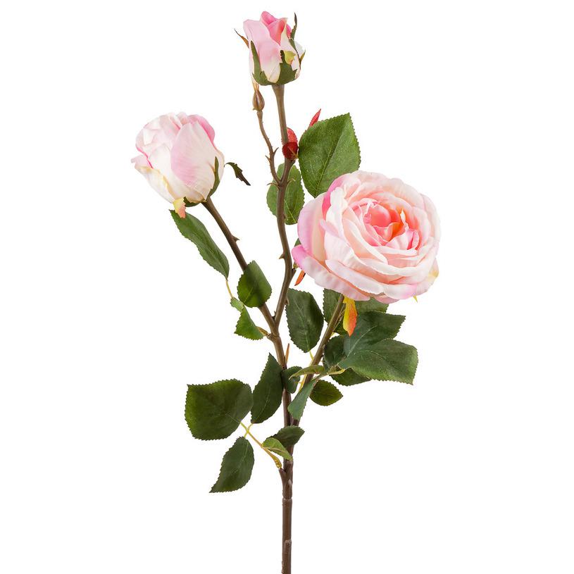 картинка Роза чайная розовая от магазина DECOR OF TODAYфото 1