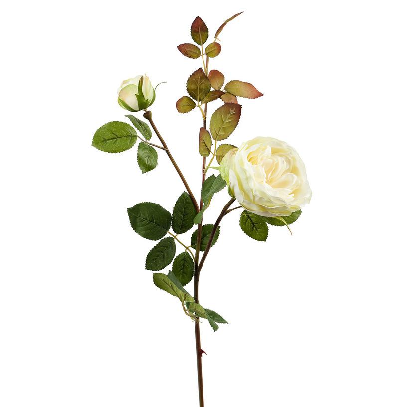 картинка Роза бело-зеленая кустовая от магазина DECOR OF TODAYфото 1