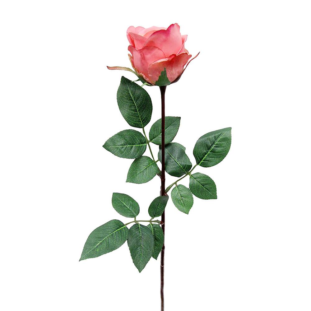 картинка Роза "Джесика" бутон розовая от магазина DECOR OF TODAYфото 1
