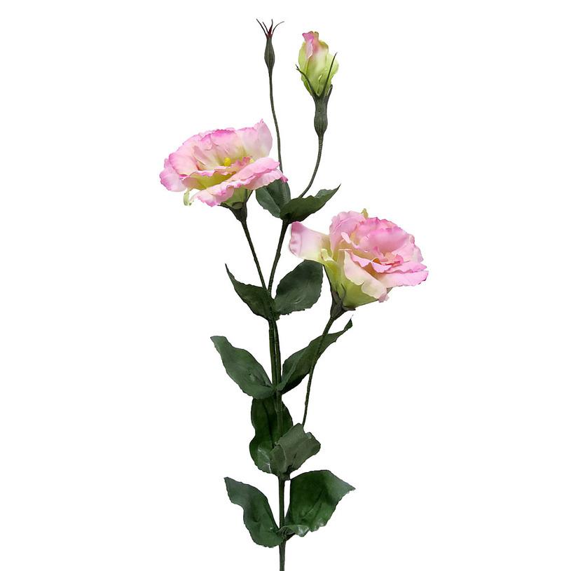 картинка Лизиантус кустовой розовый от магазина DECOR OF TODAYфото 1