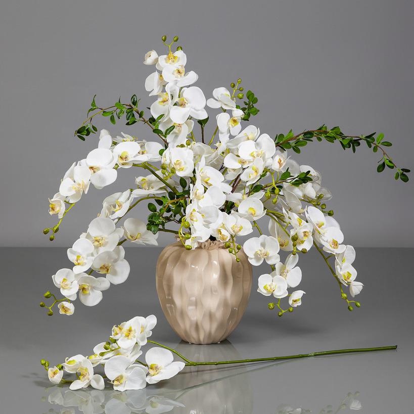 картинка Орхидея Фаленопсис белая от магазина DECOR OF TODAYфото 2