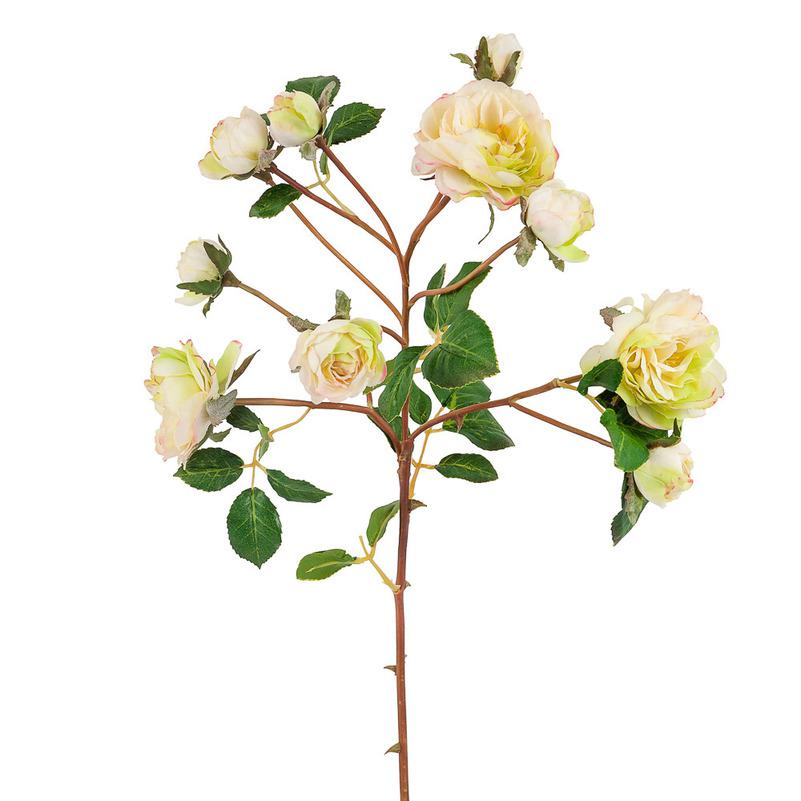 картинка Роза кустовая салатная от магазина DECOR OF TODAYфото 1