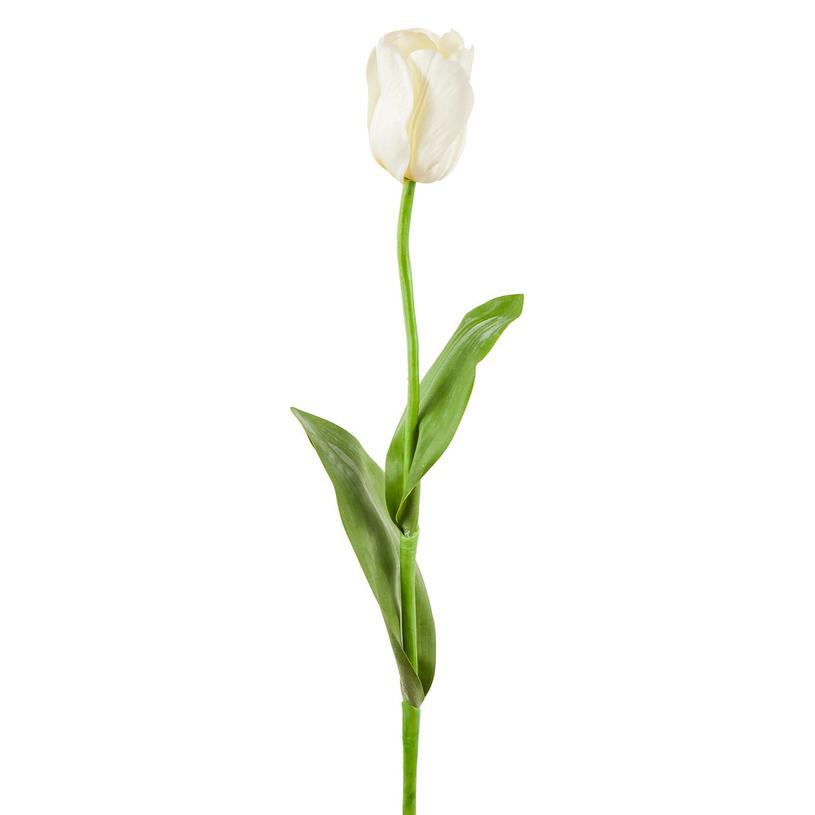 картинка Тюльпан белый от магазина DECOR OF TODAYфото 1