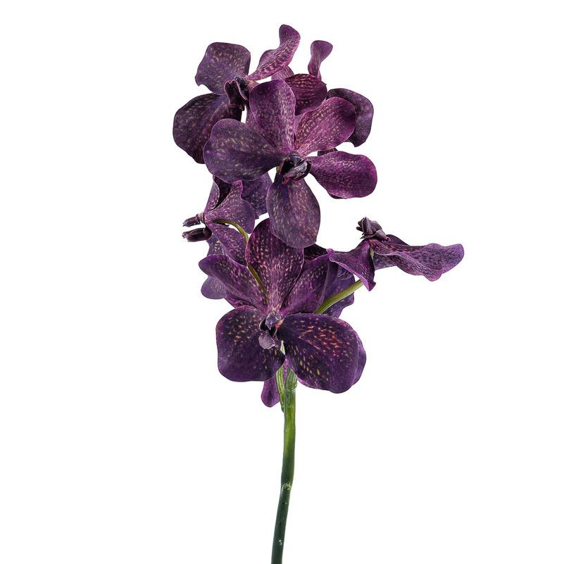 картинка Орхидея лиловая от магазина DECOR OF TODAYфото 1